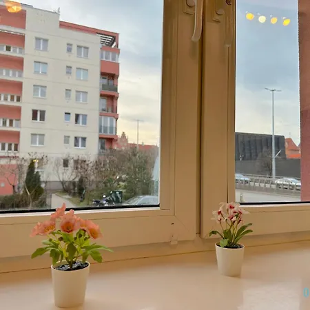 Honey Apartment- Cozy Retreat, 10 Minutes To Old Town 公寓 *